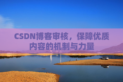CSDN博客审核,保障优质内容的机制与力量